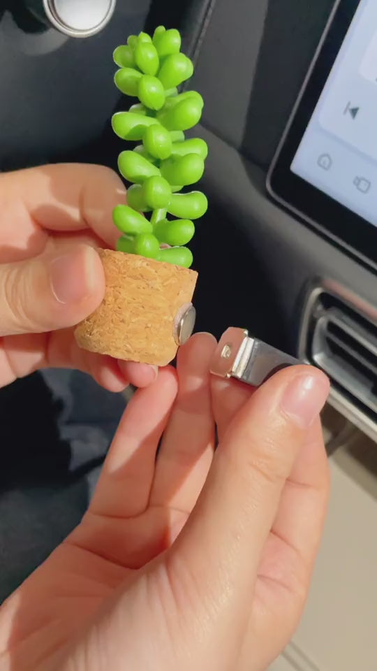 BloomVents – tiny plants, big freshness.